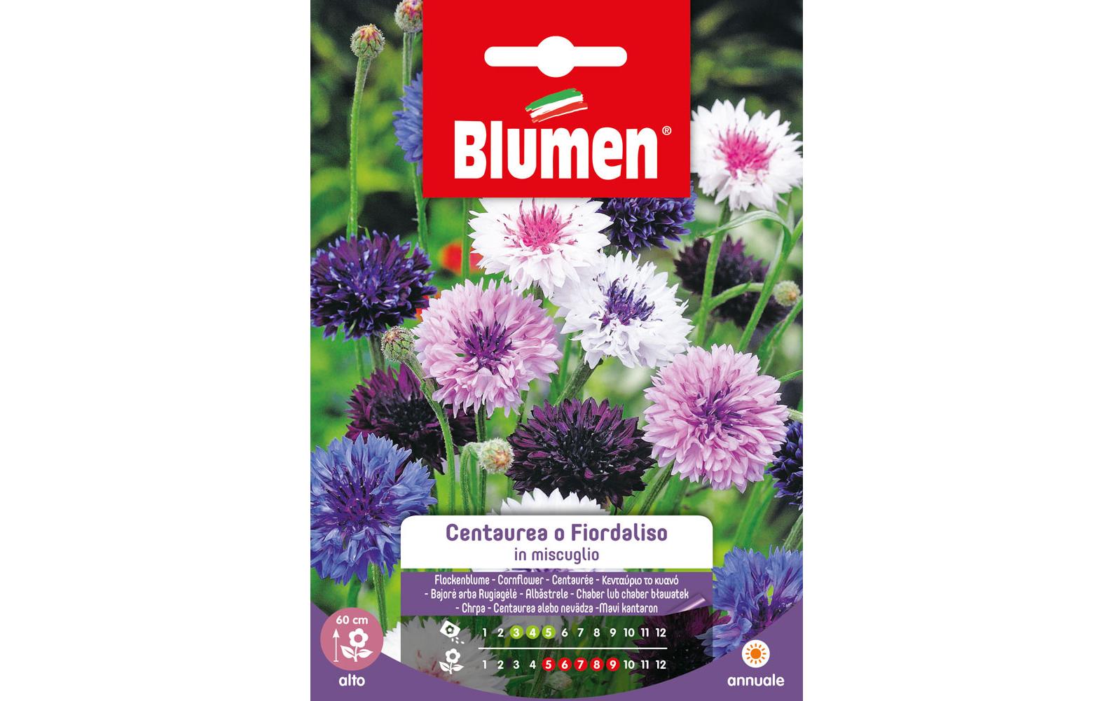 SAMEN MAUSER Kornblume Mix