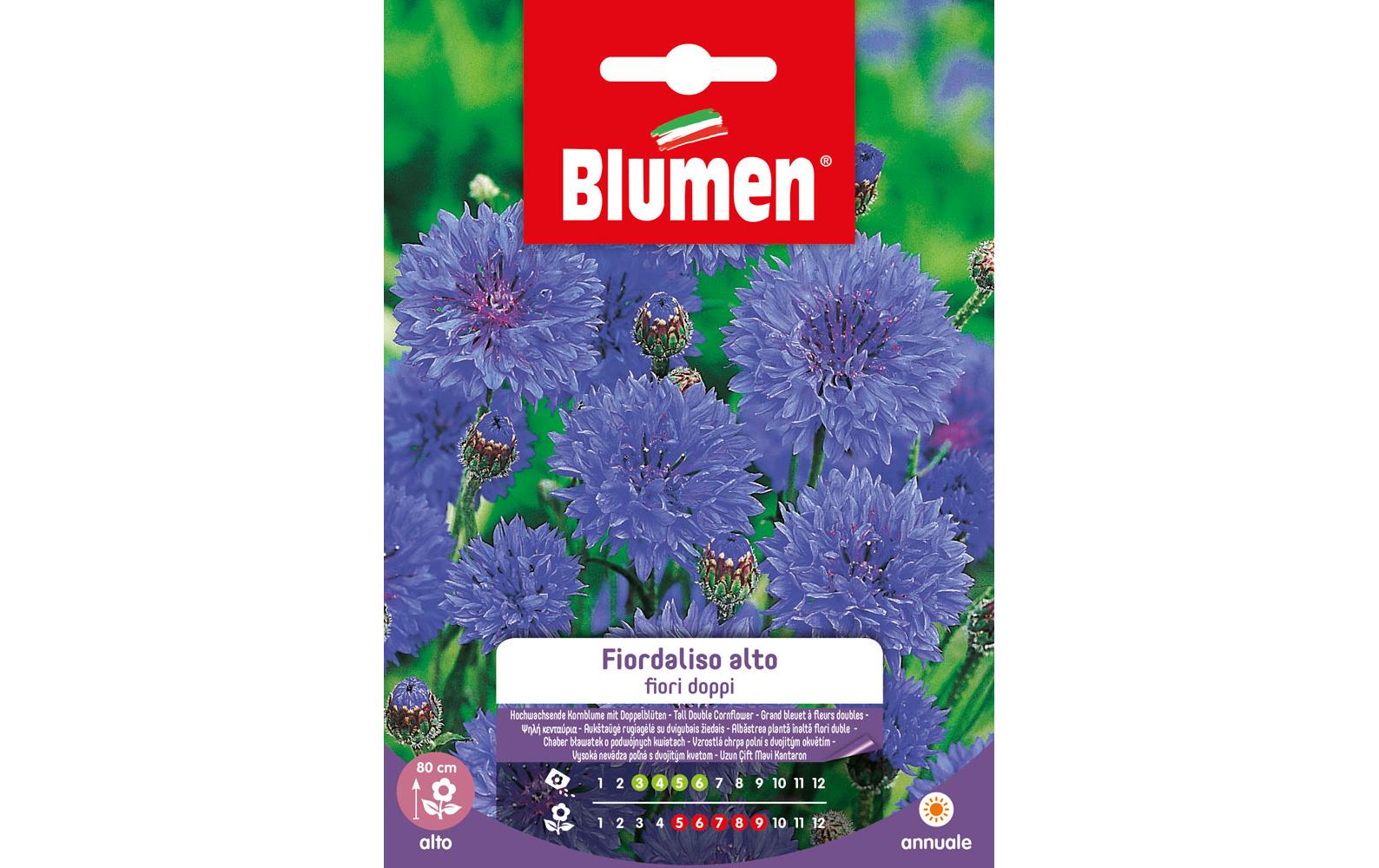SAMEN MAUSER Kornblume gefüllt hoch