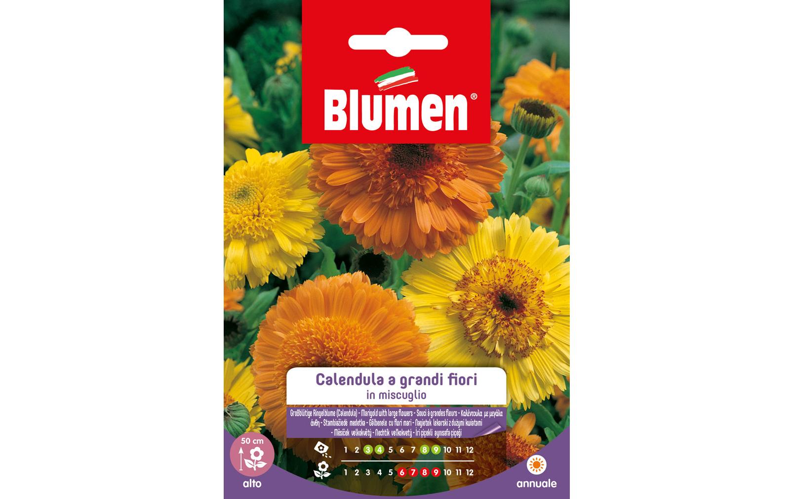 SAMEN MAUSER Grossblütige Ringelblume Mix