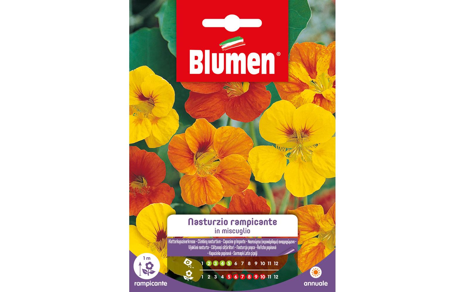 SAMEN MAUSER Kletterkapuzinerkresse Mix