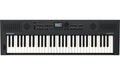 Roland GO:KEYS 5 Graphite Music Creation Keyboard, 61-Tasten, grau