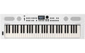 Roland GO:KEYS 5 White Music Creation Keyboard, 61-Tasten, weiss