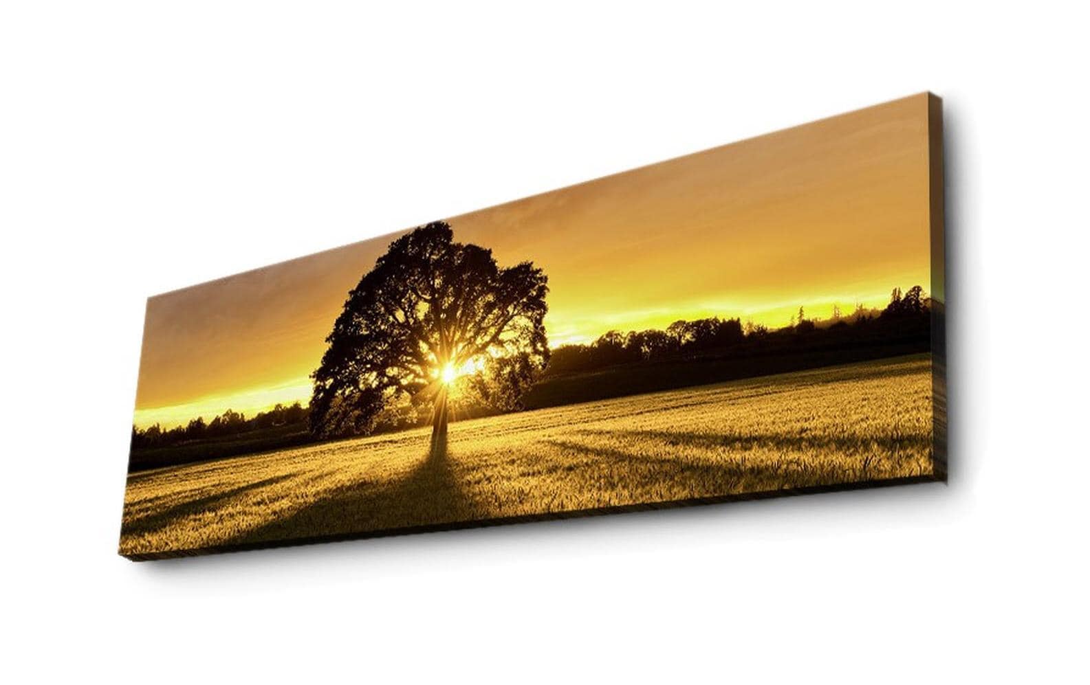 Wallxpert Wandbild Tree MDF, Mit Beleuchtung, Exkl. 9V Batterie