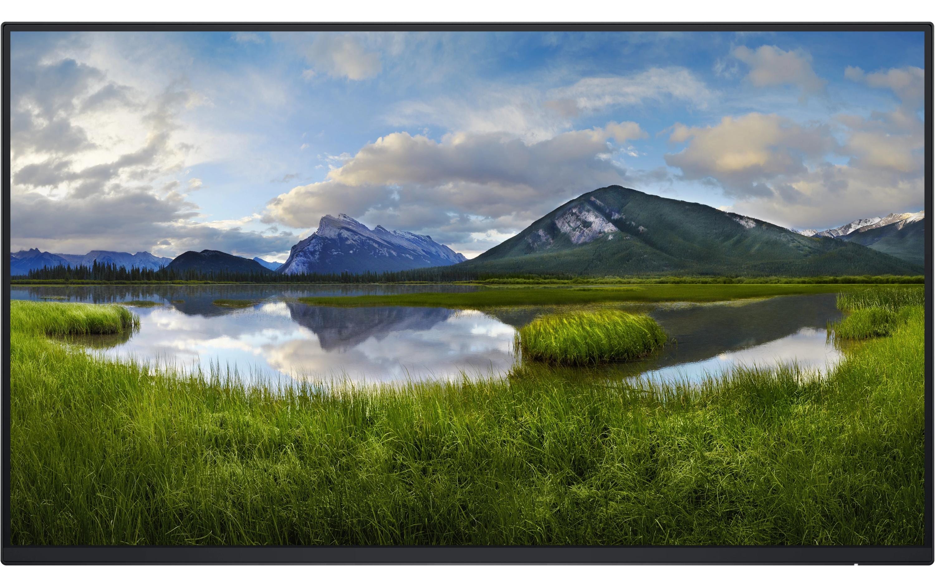 Dell Pro 24 Plus without stand 1920x1080, DP, HDMI, USB-C, USB