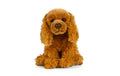 LIVING NATURE Cocker Spaniel