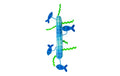 Kong Cat Kickeroo stickaroo, 26 cm
