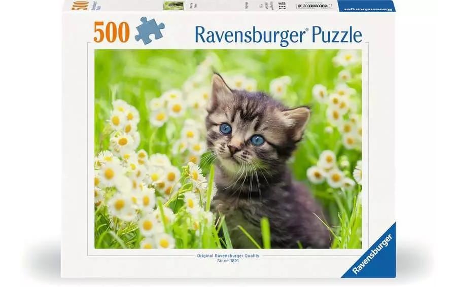 Puzzle Kätzchen in der Wiese Ab 12 Jahre