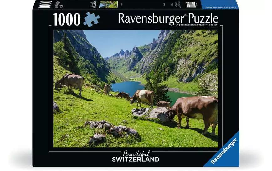 Puzzle Fälensee