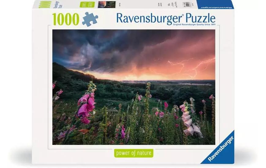 Puzzle Ein Sturm zieht auf 14-99 Jahre