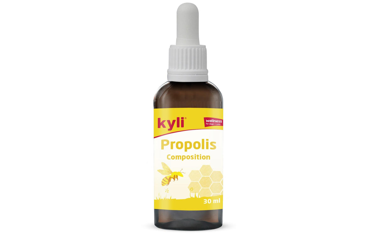 kyli Propolis Composition 30 ml Nahrungsergänzungsmittel