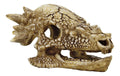 Superfish Schädel T Rex M