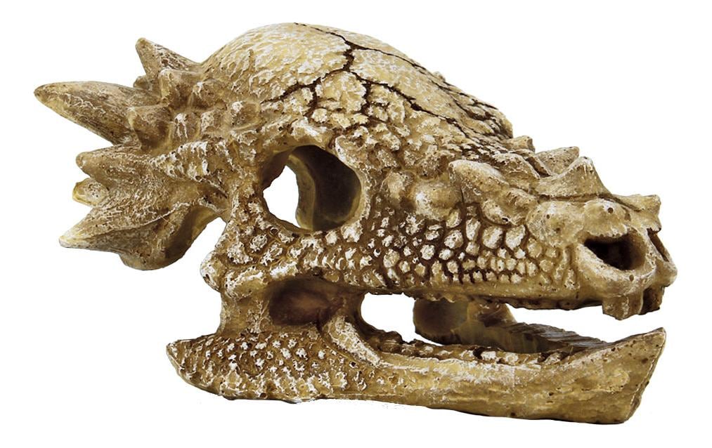 Superfish Schädel T Rex M