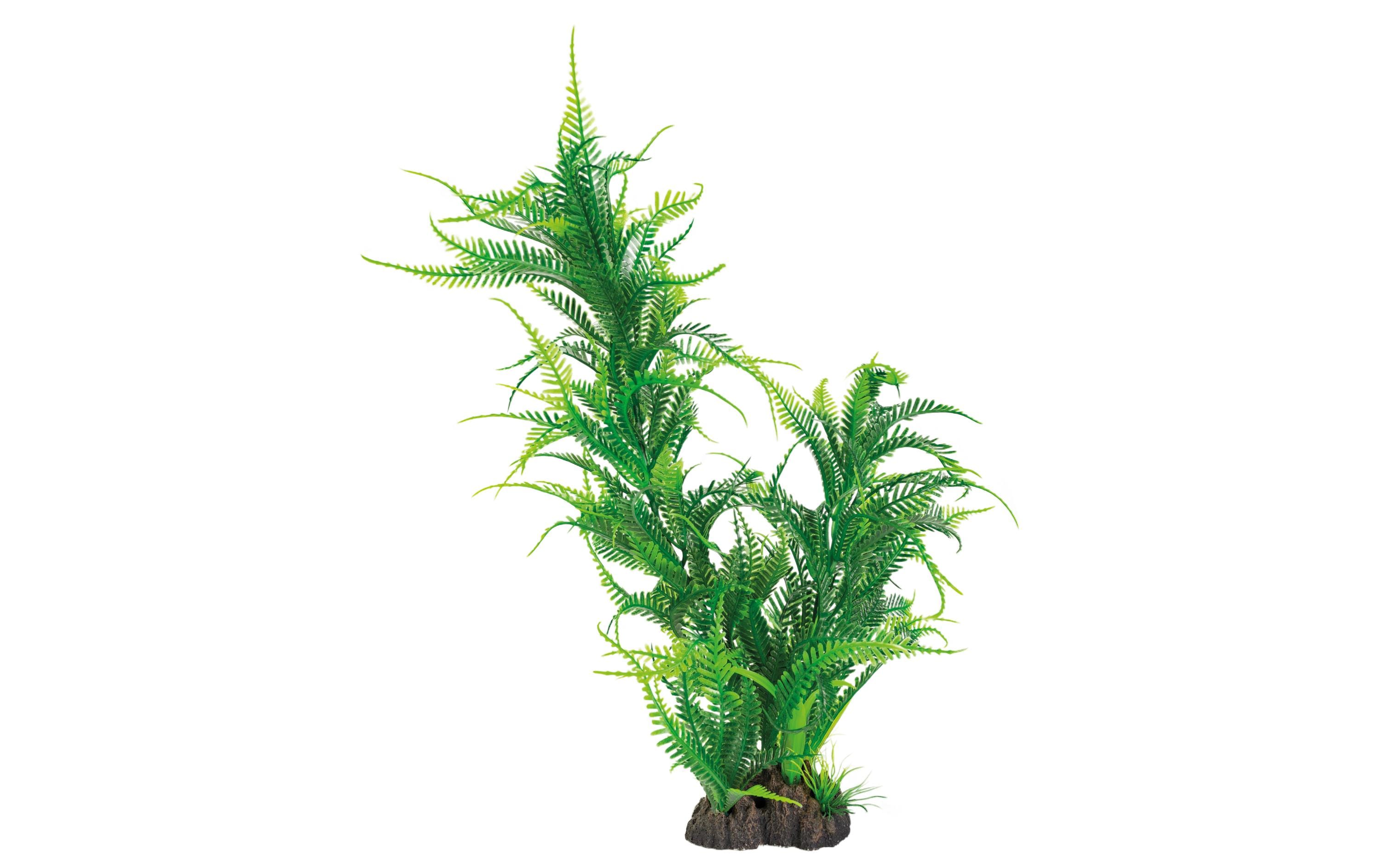 Superfish Art Plant 40cm Microsorum