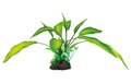 Superfish Art Plant 25cm Cryptocoryne