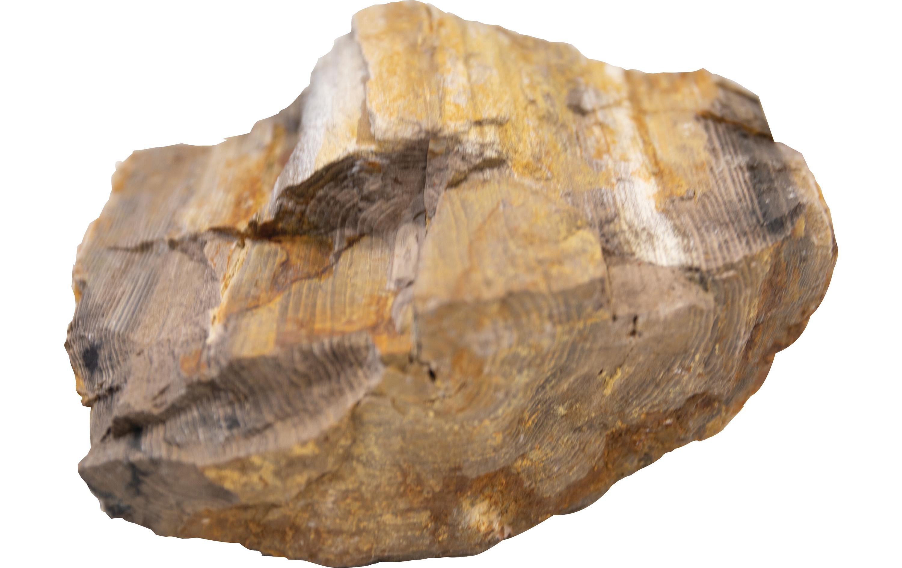 Superfish Aquascape Red Wood Rock 5 Kg