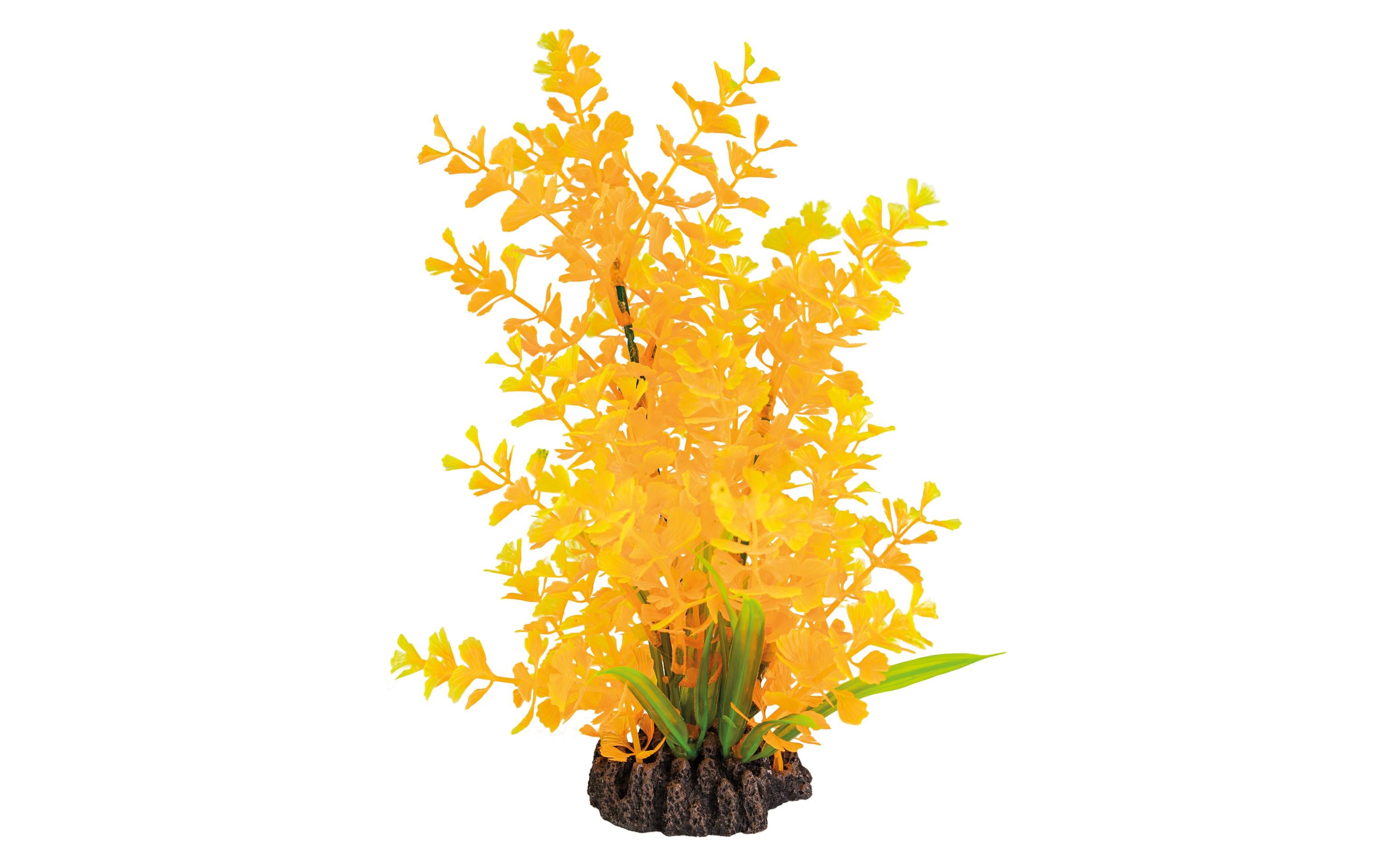 Superfish Art Plant 25cm Ludwigia Orange