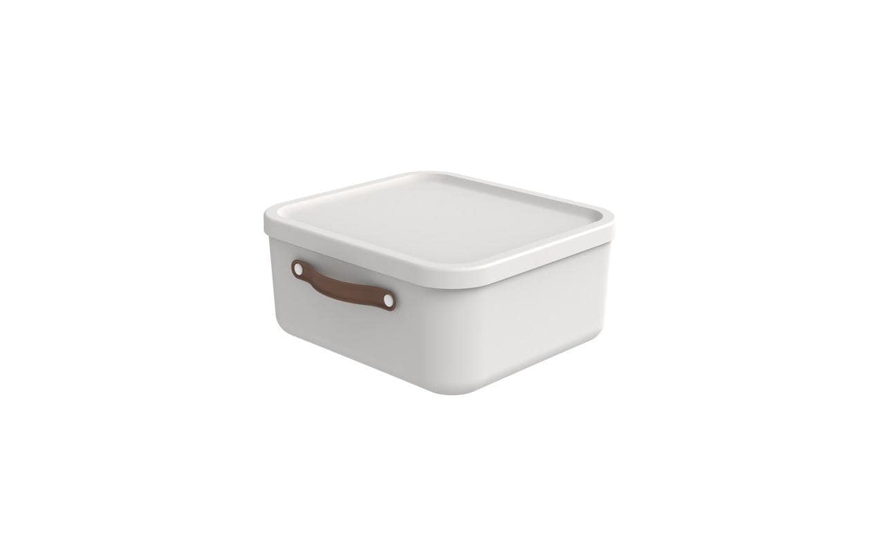 Rotho Aufbewahrungsbox 20 l MALOJA Mistletoe weiss