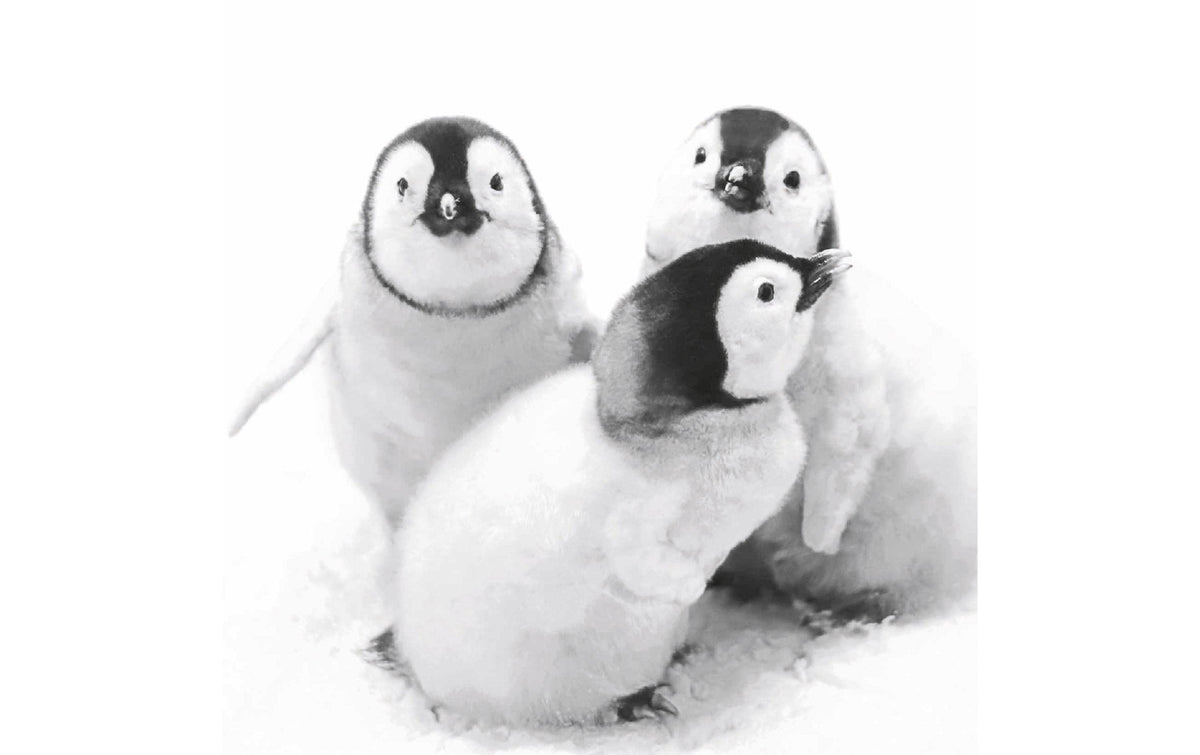 Paper + Design Servietten Penguin friends 33x33 cm, 20 Stück, 3-lagig, FSC