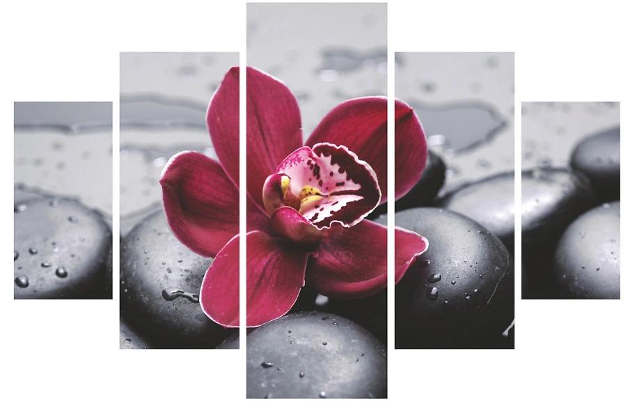 Wallxpert Bild Orchidee 5-teilig MDF, Grösse Total: 92 x 56 cm