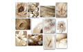 Wallxpert Bild  Pflanzen 12-teilig MDF/Kunststoff, 20 x 15 cm (12 Pieces)