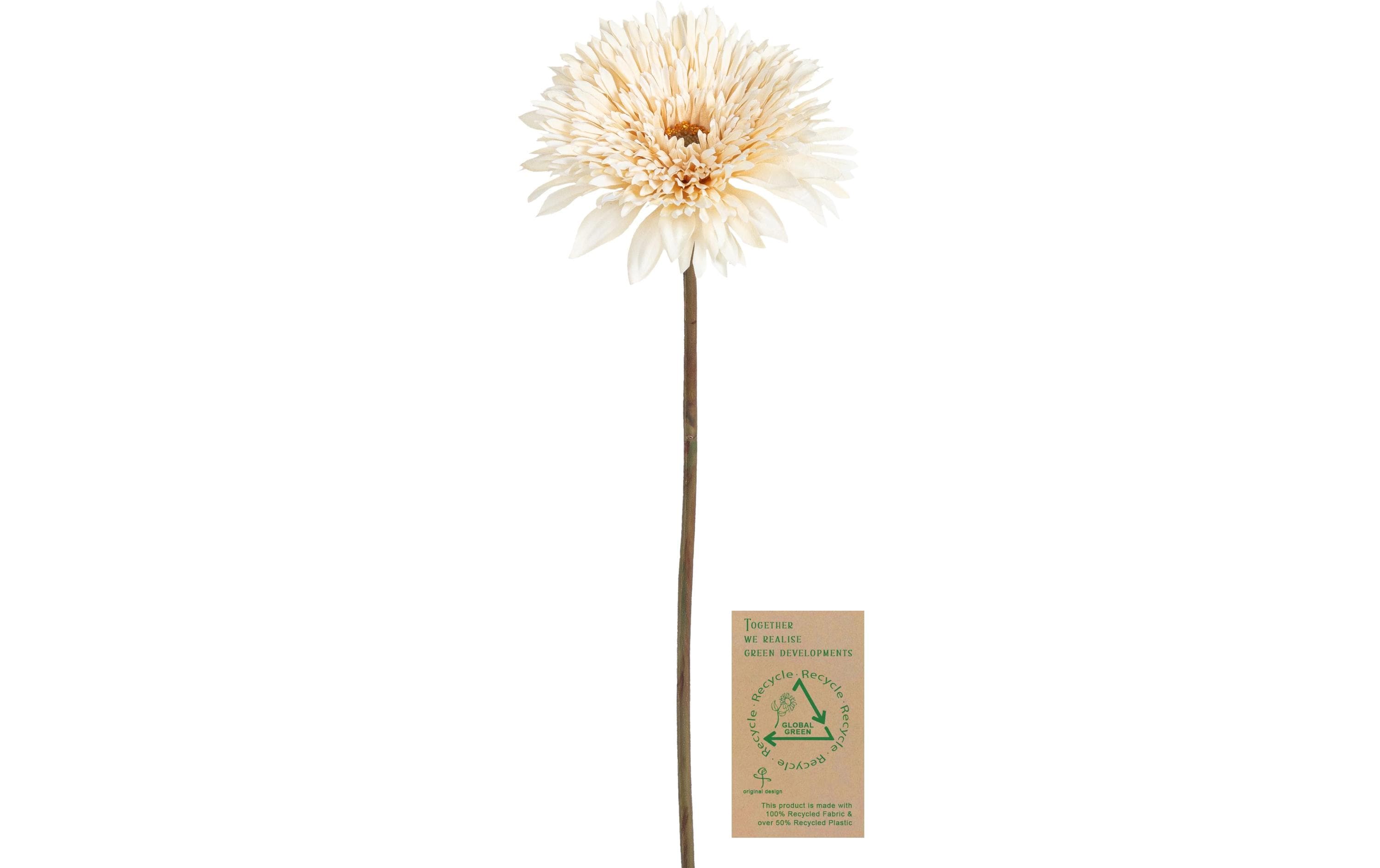 Botanic-Haus Gerbera, Elfenbein 63 cm lang, Stoff, Kunststoff