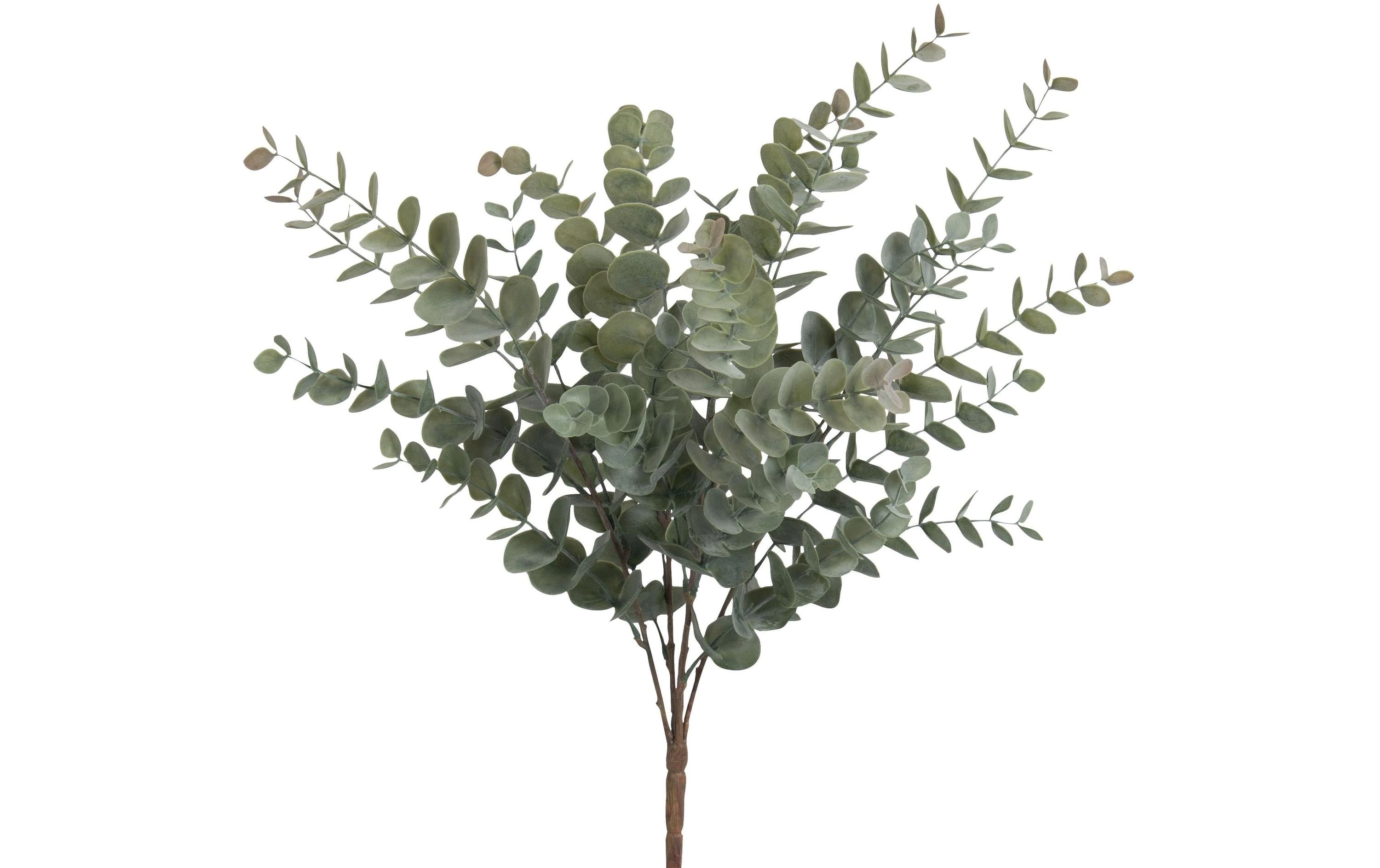 Botanic-Haus Eukalyptusbusch 56 cm, Kunststoff