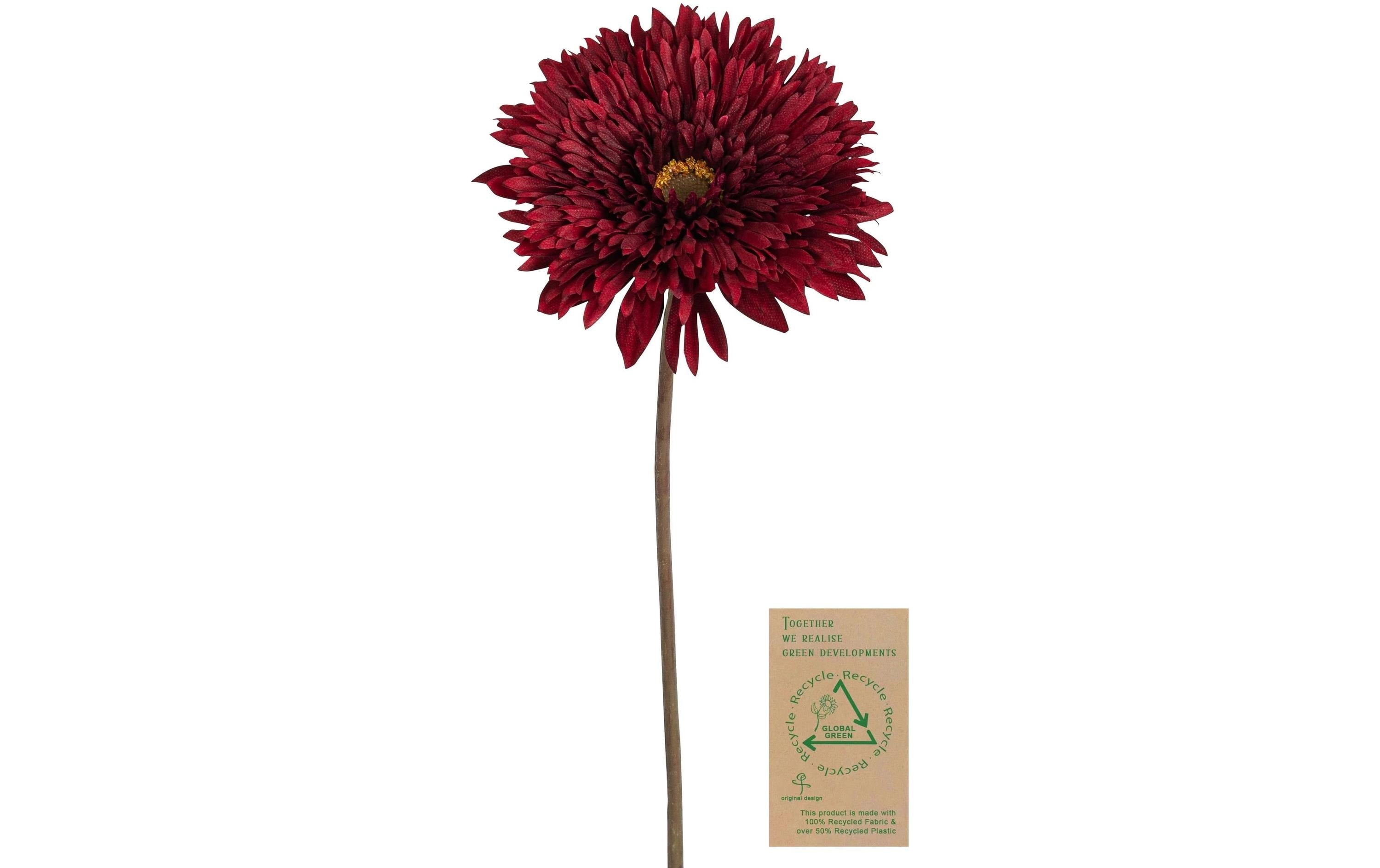 Botanic-Haus Gerbera, Créme 63 cm lang, Stoff, Kunststoff