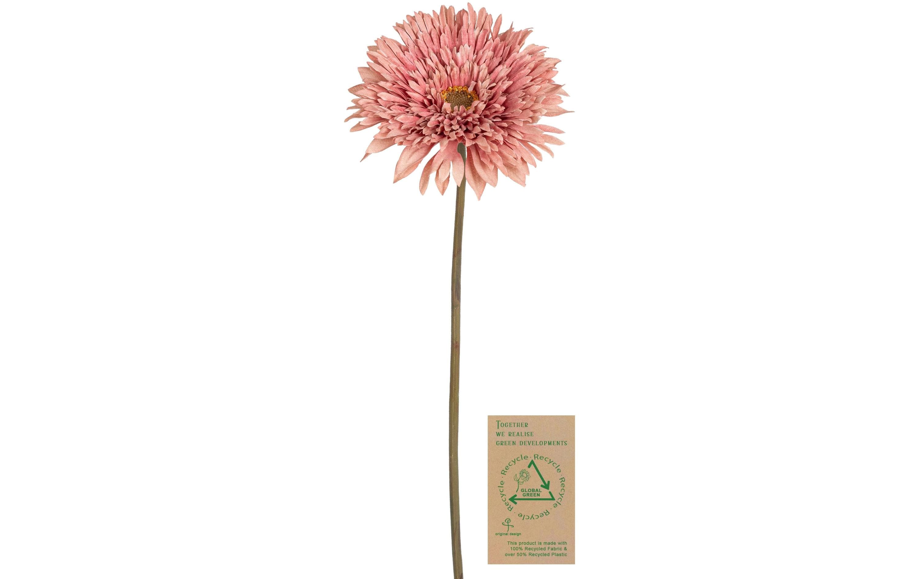 Botanic-Haus Gerbera, Altrosa 63 cm lang, Stoff, Kunststoff