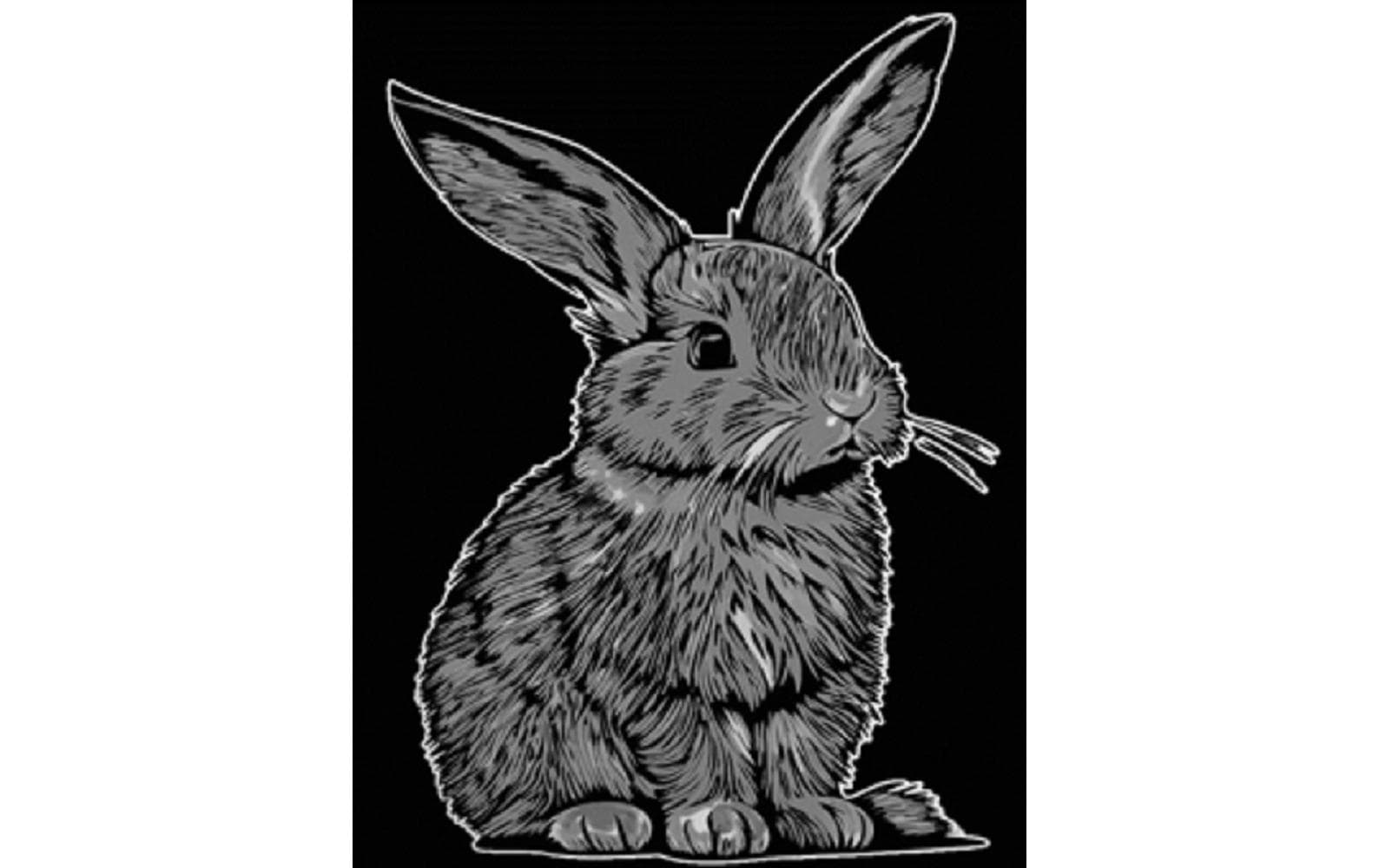 Tataruga Samtbild A4, Hase Samtbild zum Ausmalen