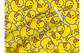 B+C Geschenkpapier 2  m x 70 cm Little Ducks, 80 gm2