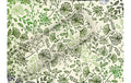 B+C Geschenkpapier 1.5 m x 70 cm By Nature Gras Botanic Mix, 80 gm2