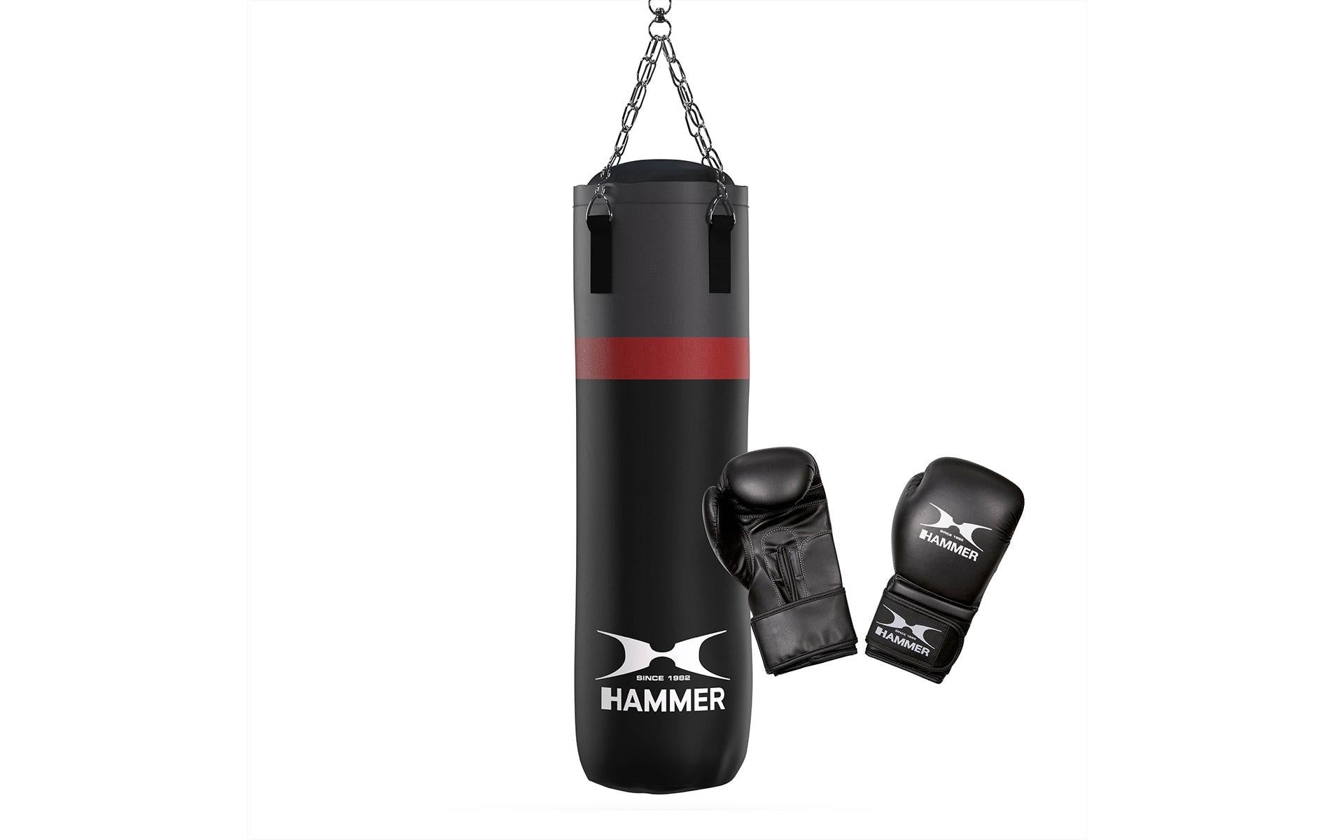 HAMMER Box Set Cobra 26kg, 100cm, 10 OZ