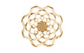 WoodTrick Vortex Hypnotic WDTK093