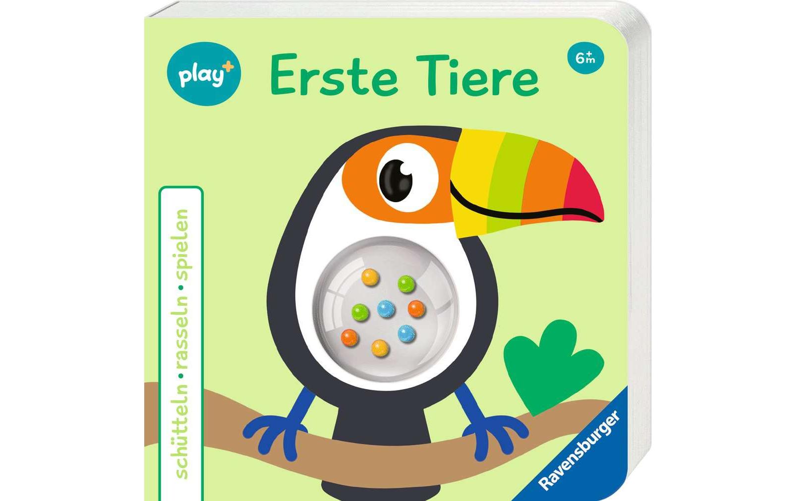Play+ Buch schütteln, rasseln: Tiere 6-36 Monate
