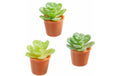 Hobbyfun Blumentöpfe 2.3 cm, 3 Stk.