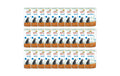 Almo Nature Nassfutter PFC Daily Steril.KIT Huhn Beutel 30x70g