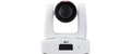 AVer Auto Tracking Kamera TR211 1080p, HDMI, 3GSDI, USB, IP, Weiss