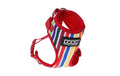 Doog Neoflex Harness Scooby XS multi-color stripped
