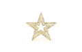 STT LED Dekoration Glamour star 1440 LED, ww, 60x60x9.5cm, gold, outdoor