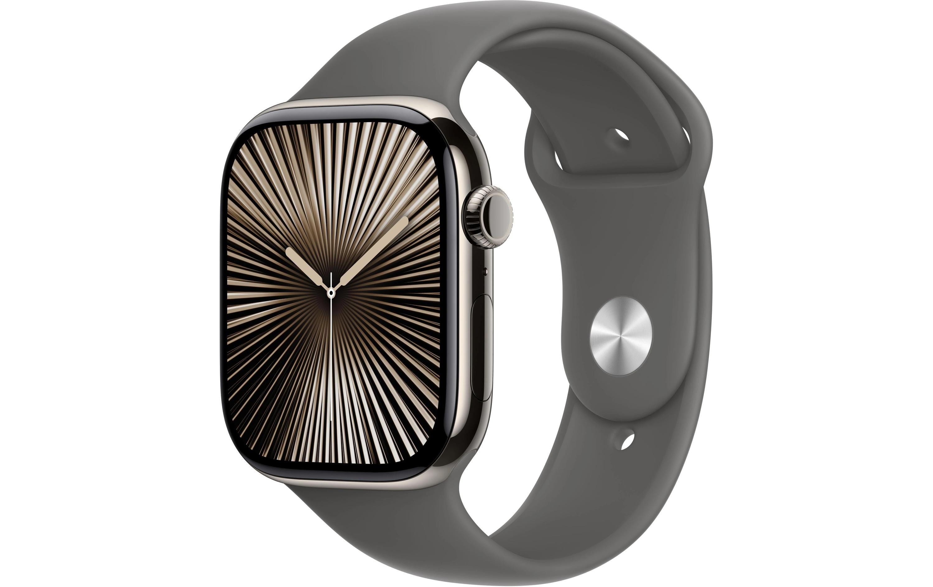 Apple Watch S10 CEL 46 Natural Titanium S mit Stone Grey Sport Band - S/M