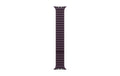APPLE Bberry Magnetic Link - M/L 46mm