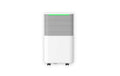 Ecofort Luftentfeuchter ecoQ DryAir 12L