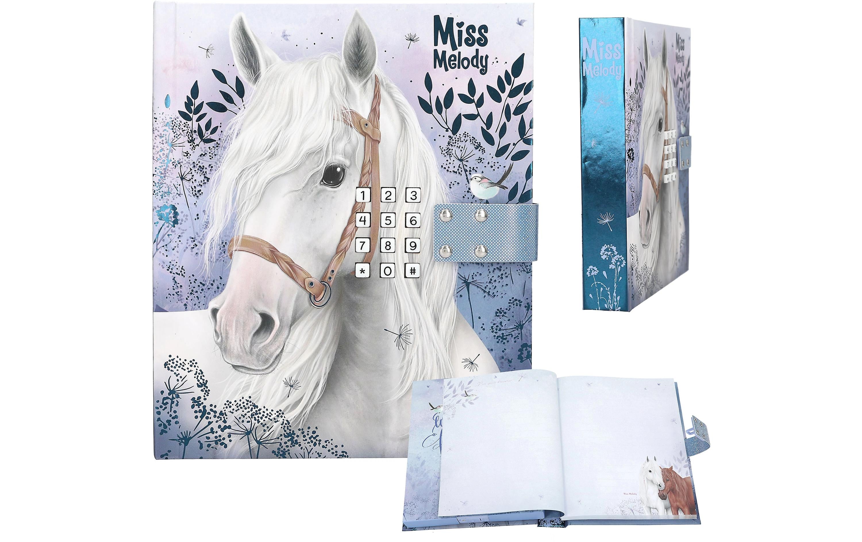Depesche Tagebuch Miss Melody mit Code und Musik