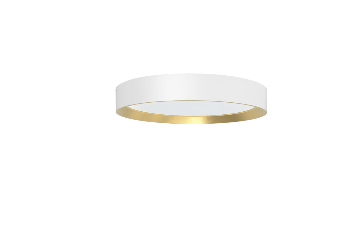 Philips Deckenleuchte Hanno 24W, SceneSwitch, 2700K, 2700 LM, ws-gold.