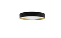 Philips Deckenleuchte Hanno 24W, SceneSwitch, 2700K, 2700 LM, sz-gold.