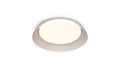 Philips Deckenleuchte Fleta 10W, SceneSwitch, 2700K, 1850 Lm, trans.