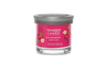 Yankee Candle Red Raspberry Signature Small Tumbler
