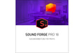 Magix Sound Forge Pro 18 ESD, Vollversion, DE,EN,ES,FR
