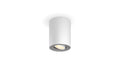 Philips Hue White amb. Pillar Spot 1 flg. weiss 350lm inkl. Dimmschalter