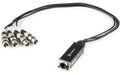 PD Connex CX192 Kabelpeitsche RJ45 auf 4x XLRf, DMX, 0.7m